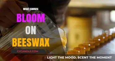 Understanding the Natural Bloom Phenomenon on Beeswax: Causes Explained