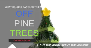 Pine Candles: Why Do They Drop?