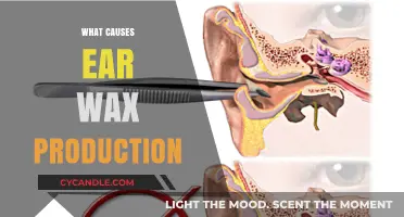 Unveiling the Mysteries: What Triggers Ear Wax Production?