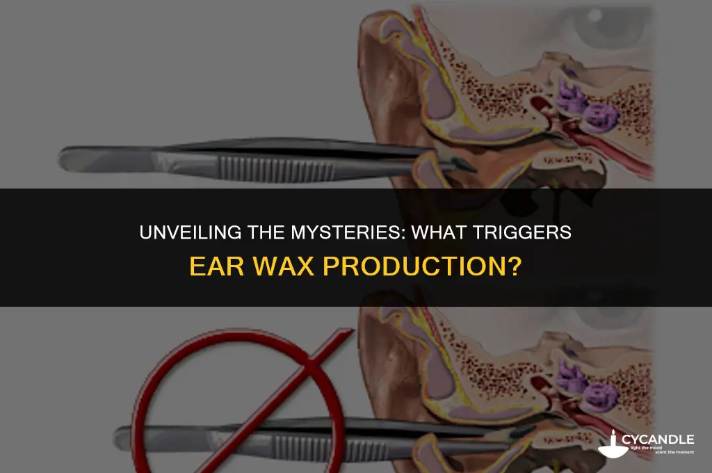 what causes ear wax production