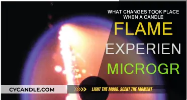How Microgravity Transforms Candle Flames