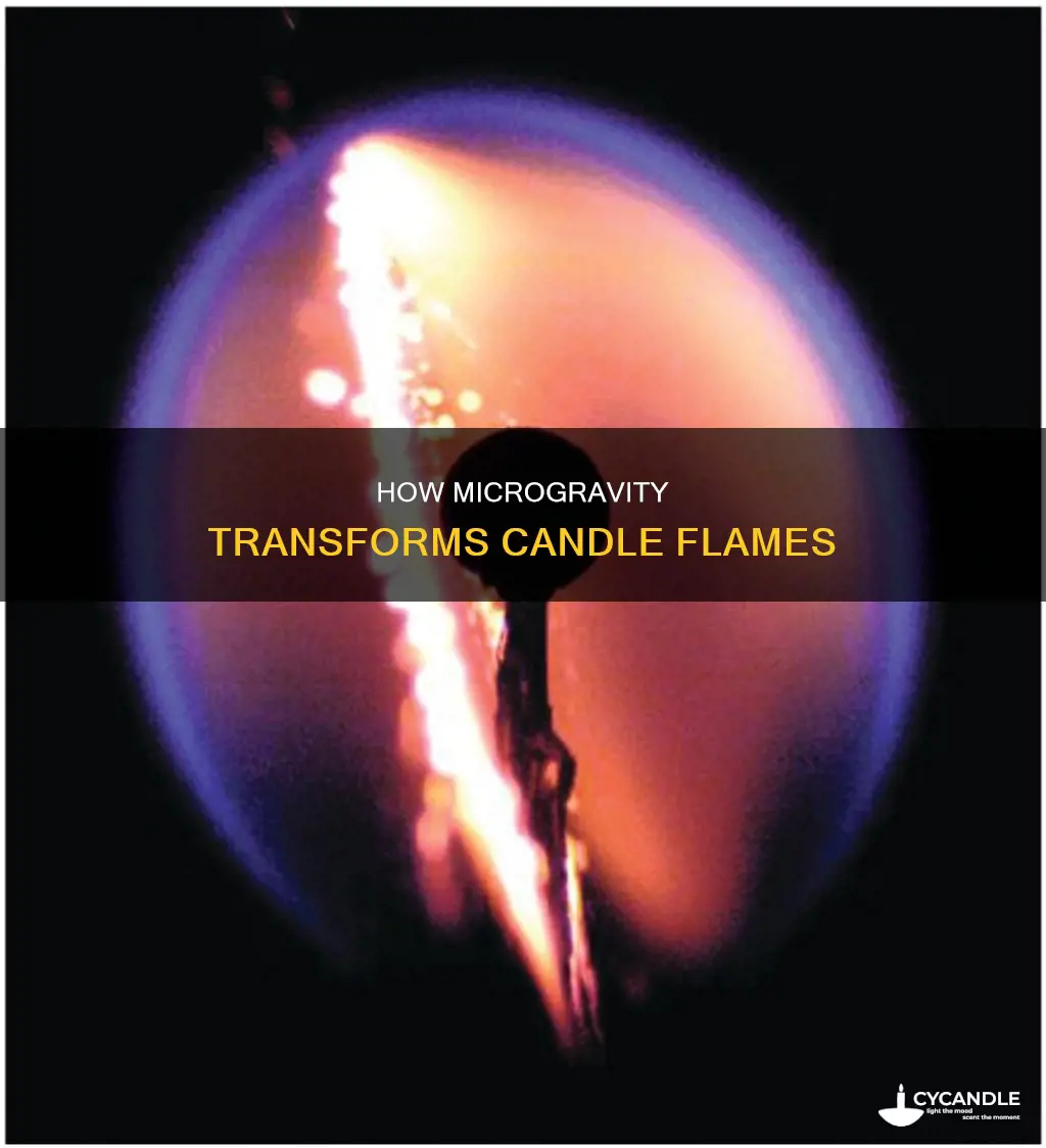 what changes took place when a candle flame experienced microgravity