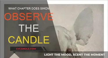 Observing the Candle: Simon's Quiet Moment