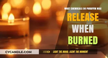Unveiling the Chemical Emissions from Burning Paraffin Wax