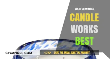 Top Citronella Candles: Effective Mosquito Repellents for Outdoor Comfort