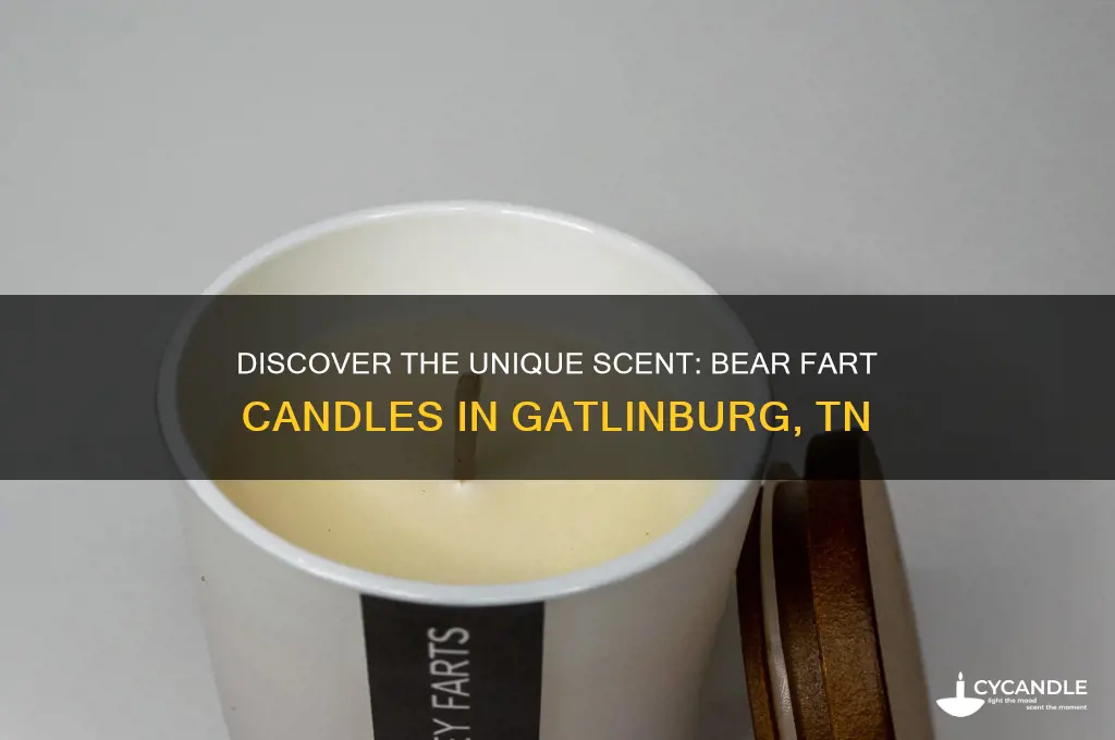 what co makes bear fart candles in gatlinburg tn