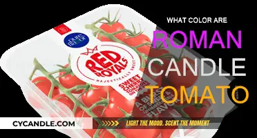 The True Color of Roman Candle Tomatoes