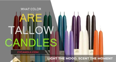 Tallow Candles: A Warm, Natural Light