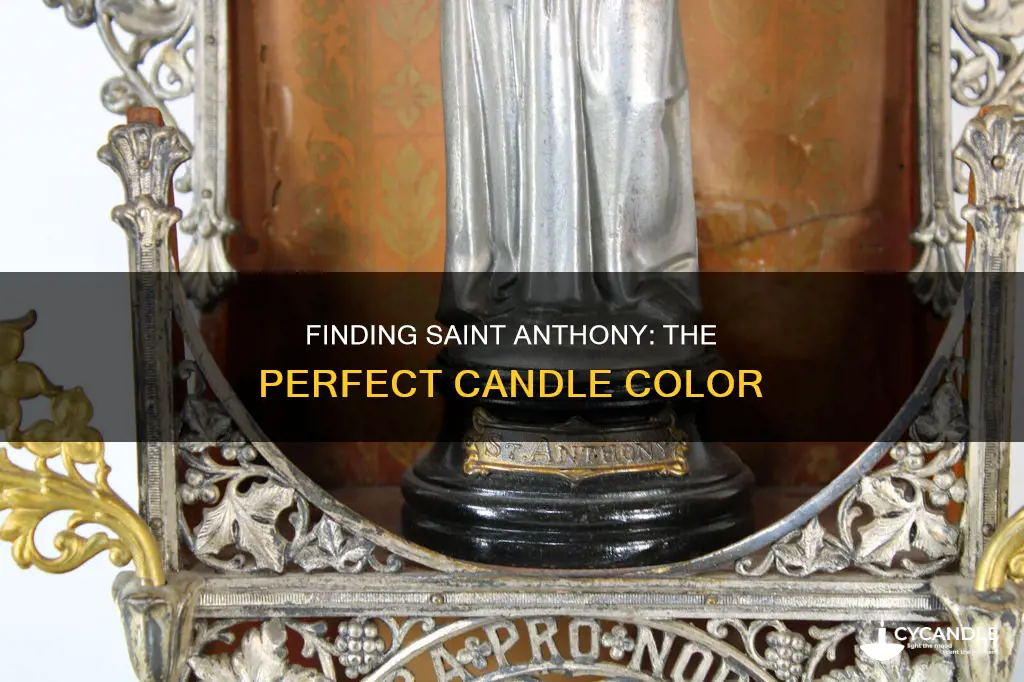 what color candle praise to saint anthony