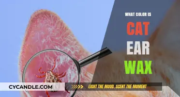 The Secret Life of Feline Ears: Unveiling the Color of Cat Ear Wax