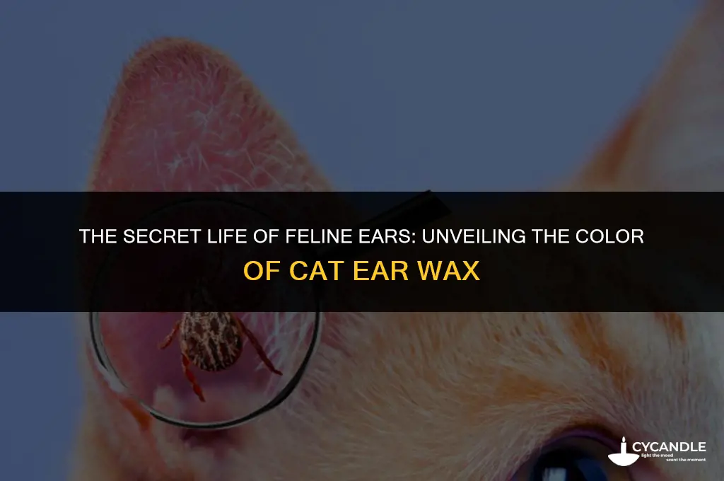 what color is cat ear wax