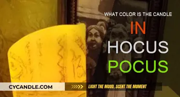 Hocus Pocus: The Mystery of the Black Flame
