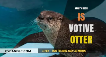 Exploring the Enchanting World of Votive Otters: A Colorful Journey