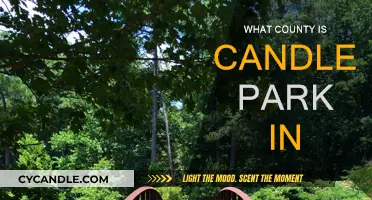 Candler Park: A Slice of Atlanta's History