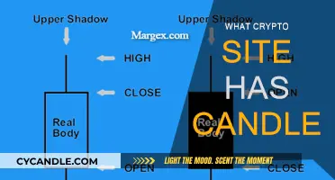 Candlestick Trading: Which Crypto Site Offers This?