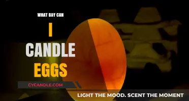 When to Candle Eggs: A Guide to Perfect Timing for Hatching