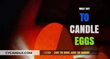 The Perfect Day to Candle Eggs