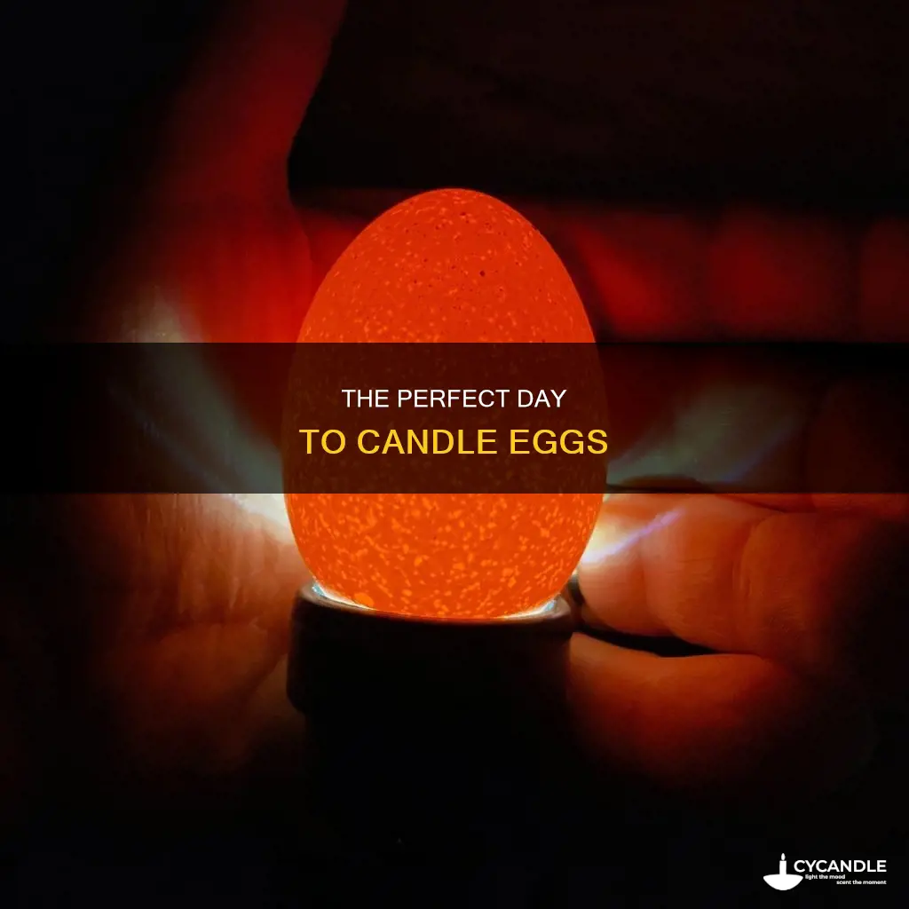 what day to candle eggs