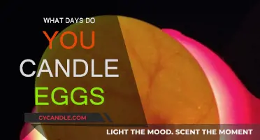 The Best Days to Candle Your Eggs
