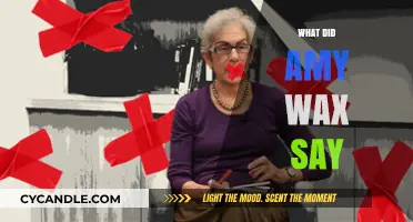 Unveiling Amy Wax's Controversial Remarks: A Critical Analysis