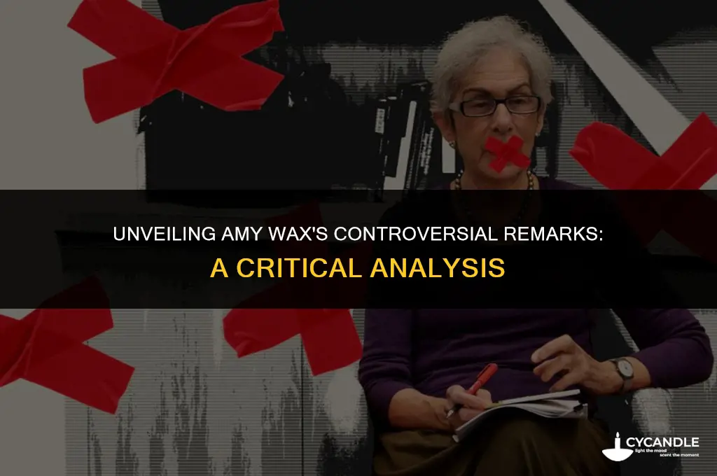 what did amy wax say