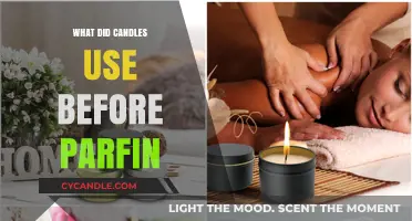 Before Paraffin: The Surprising Materials Used to Make Candles