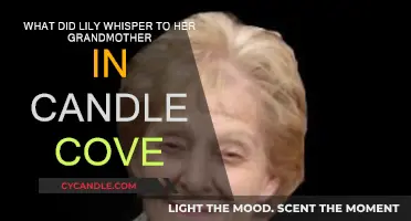 The Haunting Whisper: Lily's Secret in Candle Cove