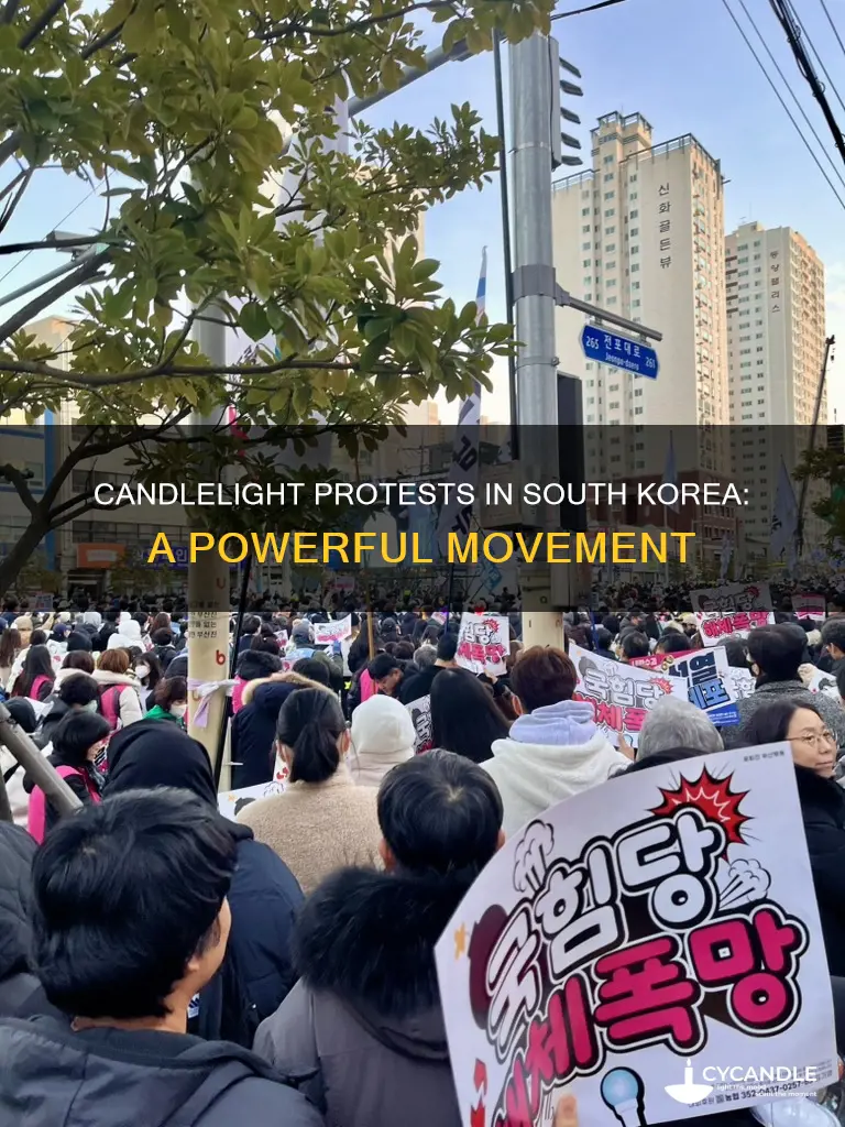 what did south korea protest with candles