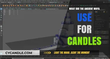 Ancient Maya Lighting: What They Used Instead of Candles