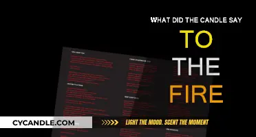 A Candle's Words to Fire: A Burning Question