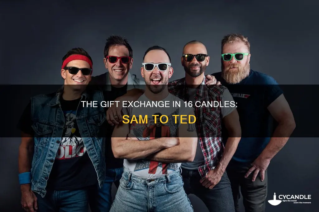 what dis sam give ted in 16 candles