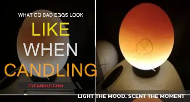 Candling Eggs: How to Spot Bad Eggs
