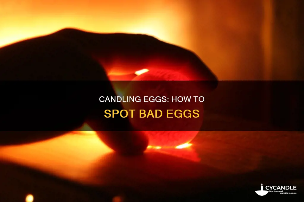 what do bad eggs look like when candling
