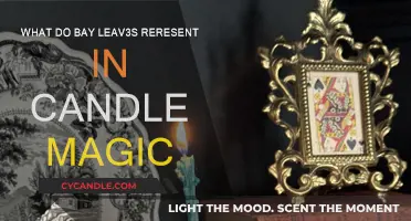 Bay Leaves in Candle Magic: Their True Meaning