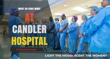 Candler Hospital Business Insights: Understanding Revenue Streams and Operations