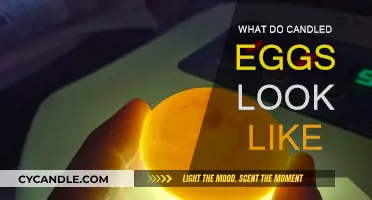 Candling Eggs: What's Revealed?