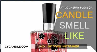 Cherry Blossom Candles: A Fragrant Floral Escape