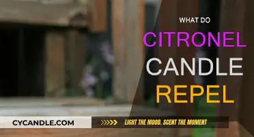 Citronella Candles: Repelling Insects, Enjoying the Outdoors