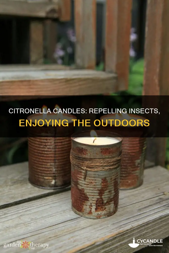 what do citronella candles repel