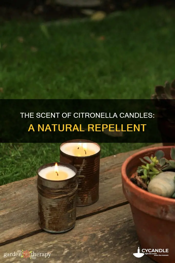 what do citronella candles smell like