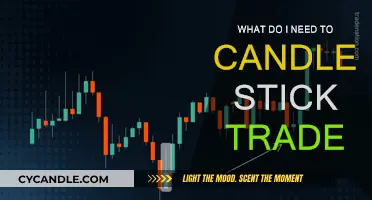 Candlestick Trading: What You Need to Know