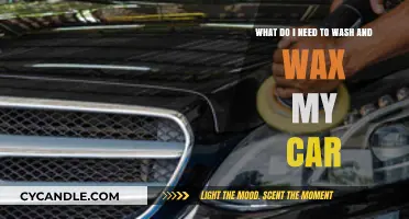 Essential Guide to Washing and Waxing Your Car