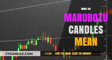 Understanding Marubozu Candles: Key Signals in Price Action Analysis
