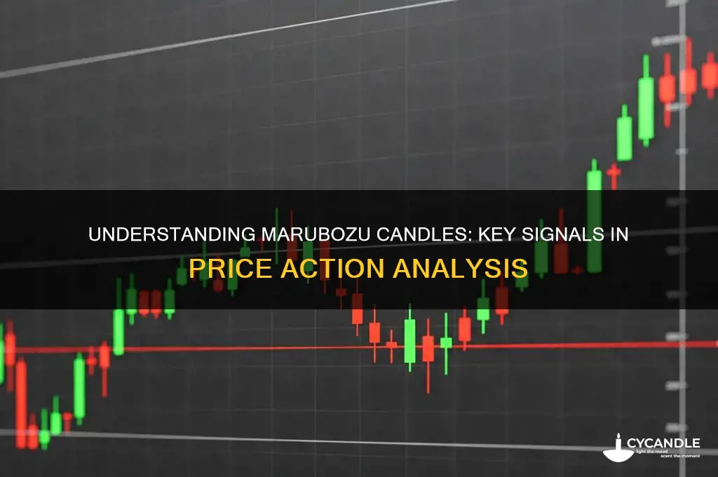 what do marubozu candles mean