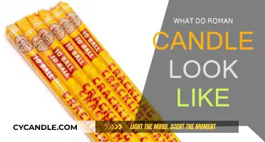 The Beauty of Roman Candles: A Visual Guide