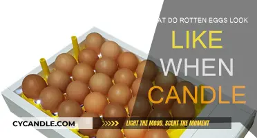 How Candling Reveals Rotten Eggs