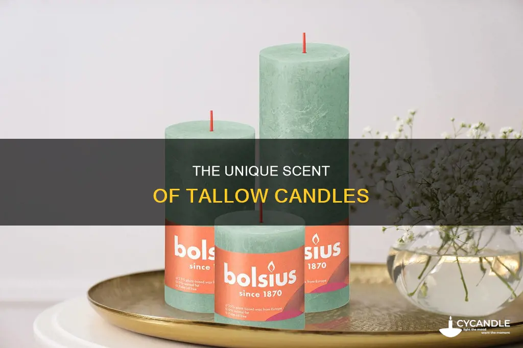 what do tallow candles smell like