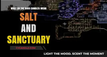 Unveiling the Mystery: Boss Candles' Salt and Sanctuary Symbolism Explained