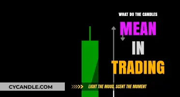 Decoding Trading Candles: Understanding Their Meaning and Market Insights