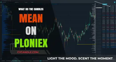 Understanding Poloniex Candlestick Charts: What Do the Candles Mean?